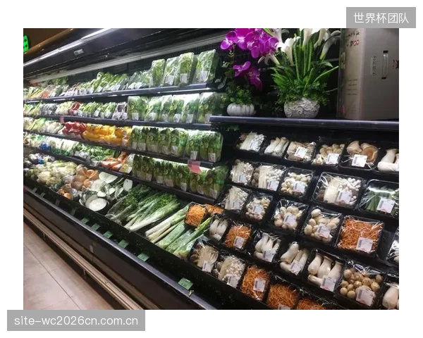 面对荷兰和日本的高压,突尼斯将更多利用长传找边路空档来规避后场风险。 面对荷兰和日本的高压,突尼斯将更多利用长传找边路空档来规避后场风险。